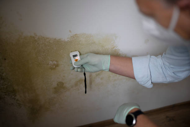 Best Residential Mold Removal  in Savage, MD