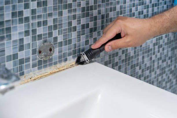 Best Affordable Mold Removal  in Savage, MD